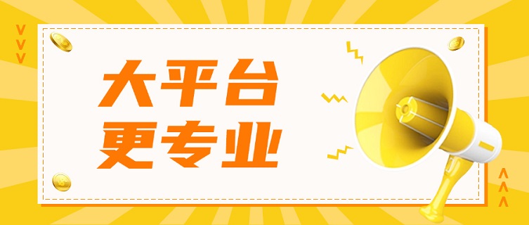 信誠信大數據信用查詢平臺，個人大數據信用精準查詢檢測！