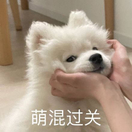 雙非大三，績點低，想去香港留學來得及嗎？怎么補救？