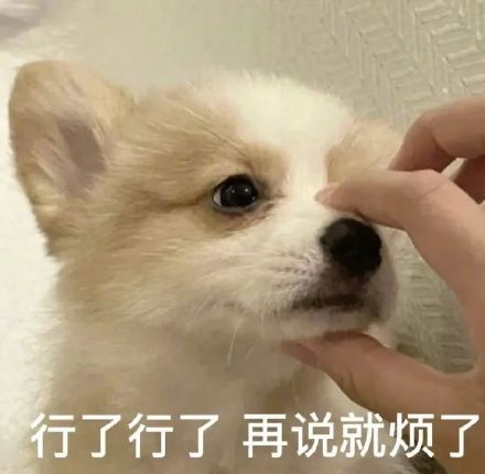 雙非大三，績點低，想去香港留學來得及嗎？怎么補救？