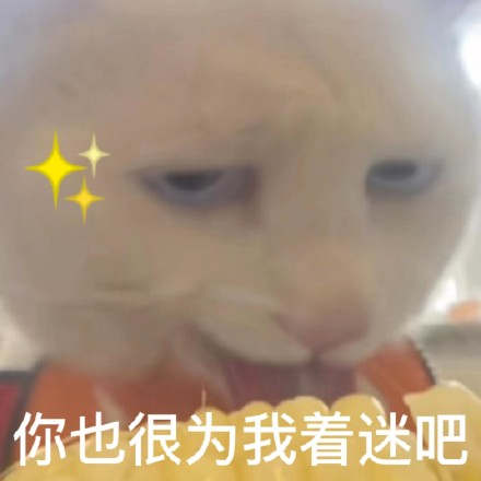 雙非大三，績點低，想去香港留學來得及嗎？怎么補救？