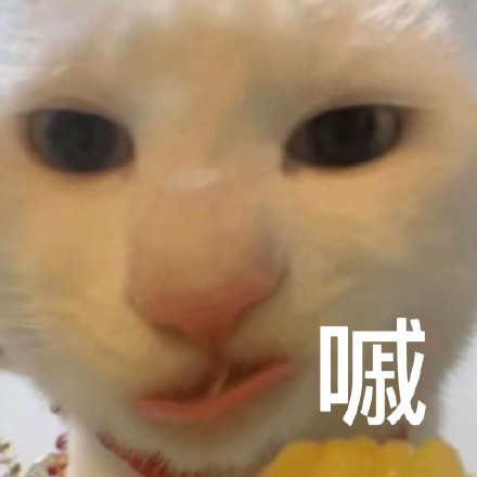 留學生10大最難學專業(yè)，金融竟然是最后一名？
