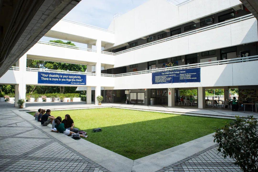 香港九龍有哪些國際學校（香港九龍塘國際學校有哪些）
