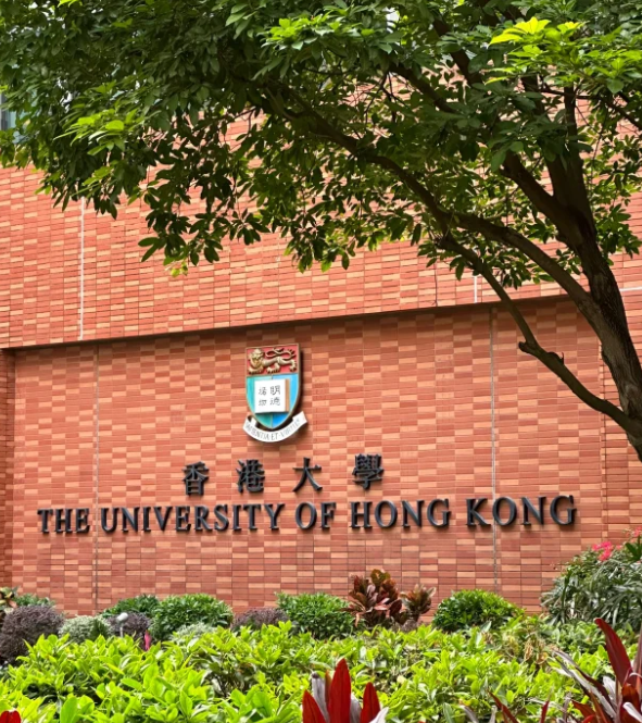 香港大學會計與財務分析理學碩士，申請攻略詳解！