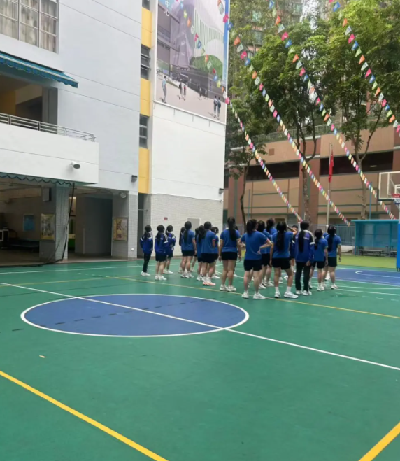 想去香港沙田區(qū)讀中學(xué)，該怎么選學(xué)校？